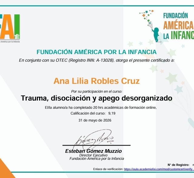 Ampliar imagen: certificate 14