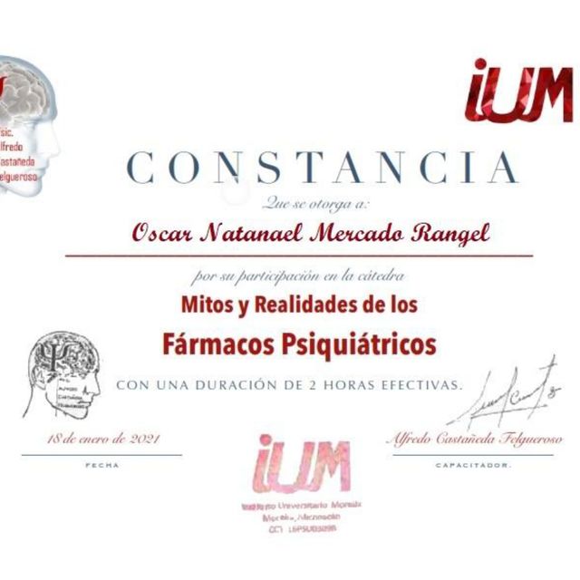 Ampliar imagen: certificate 17