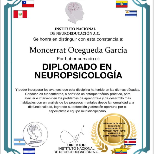 Ampliar imagen: certificate 3