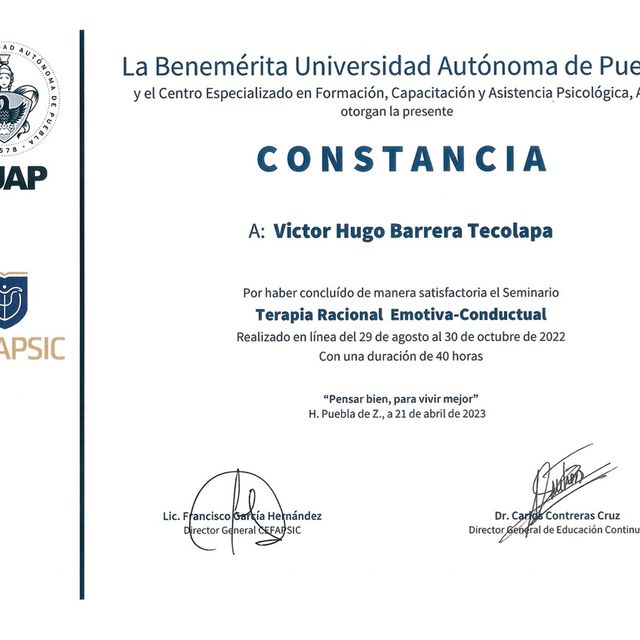 Ampliar imagen: certificate 29