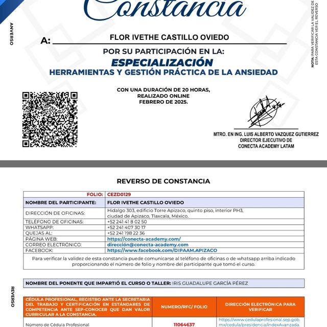 Ampliar imagen: certificate 1