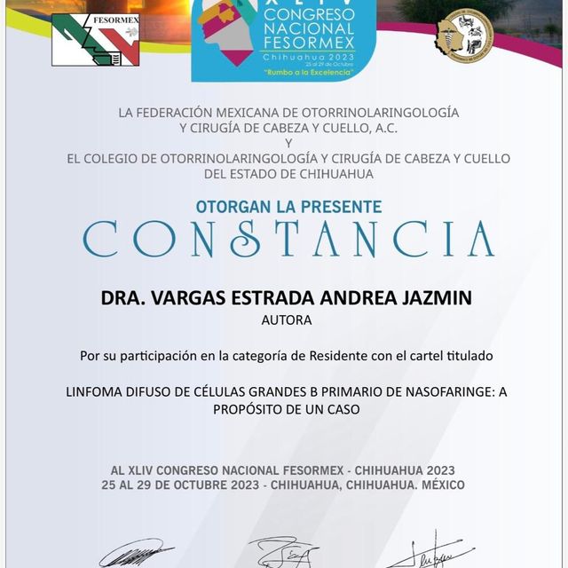 Ampliar imagen: certificate 5