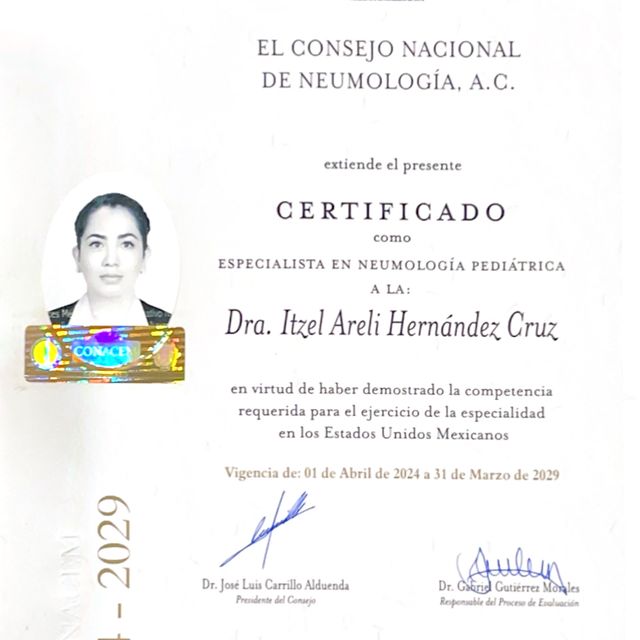 Ampliar imagen: certificate 2