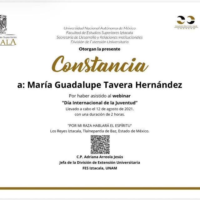Ampliar imagen: certificate 51