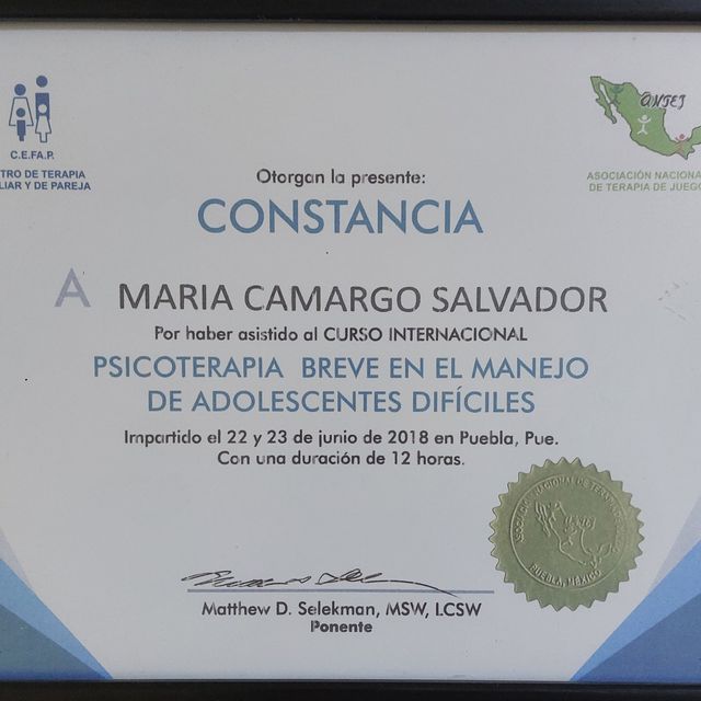 Ampliar imagen: certificate 8
