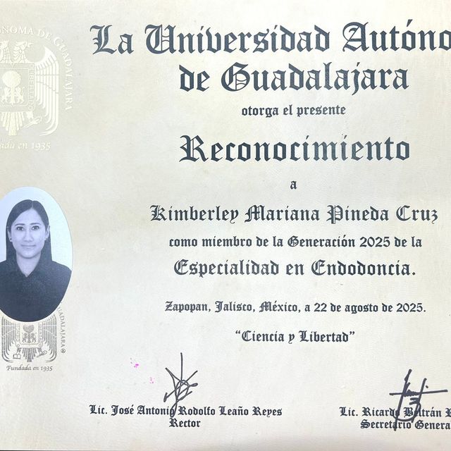 Ampliar imagen: certificate 2