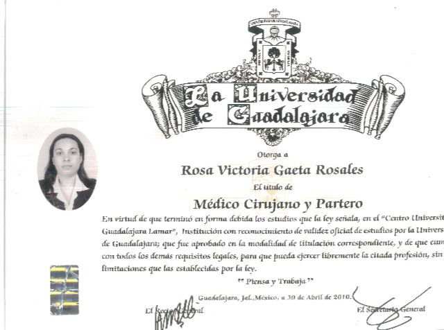 Ampliar imagen: certificate 3
