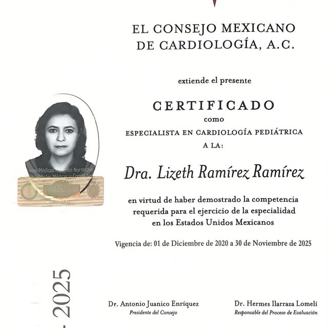 Ampliar imagen: certificate 1