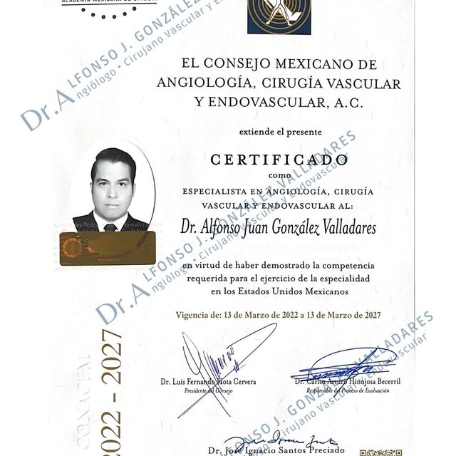 Ampliar imagen: certificate 2