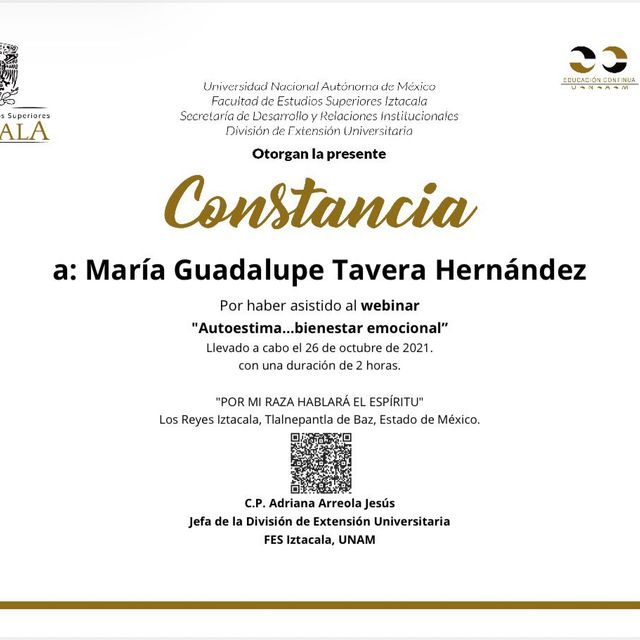 Ampliar imagen: certificate 46