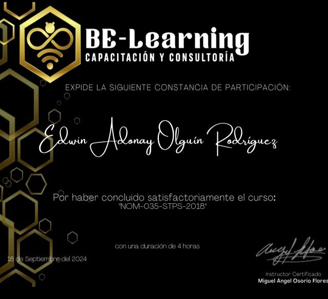 Ampliar imagen: certificate 2