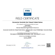 Ampliar imagen: certificate 1