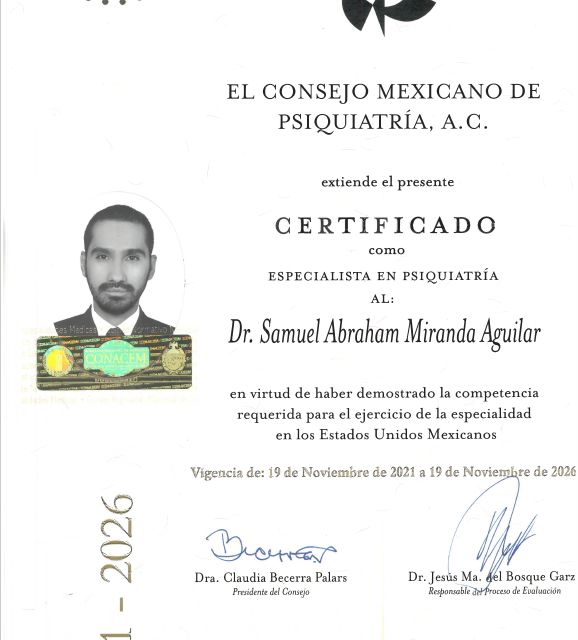 Ampliar imagen: certificate 1