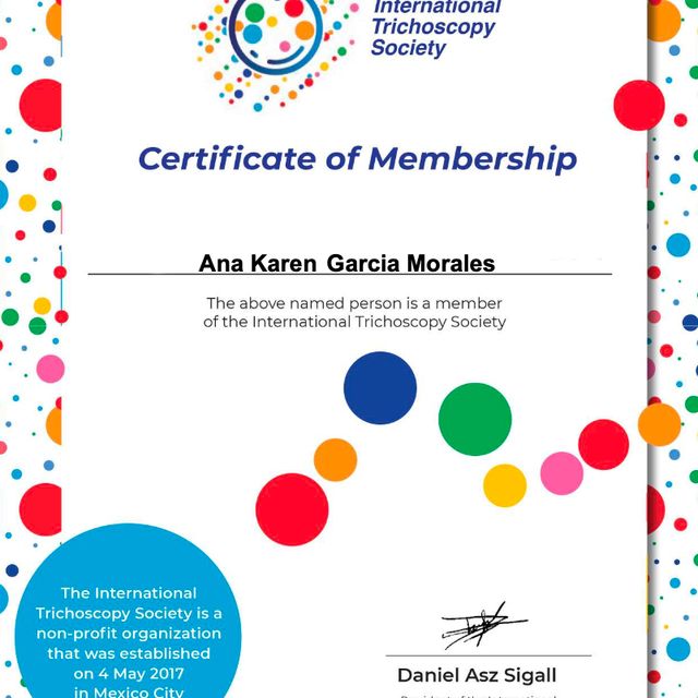 Ampliar imagen: certificate 4
