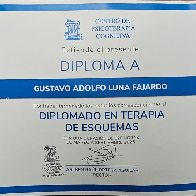 Ampliar imagen: certificate 8