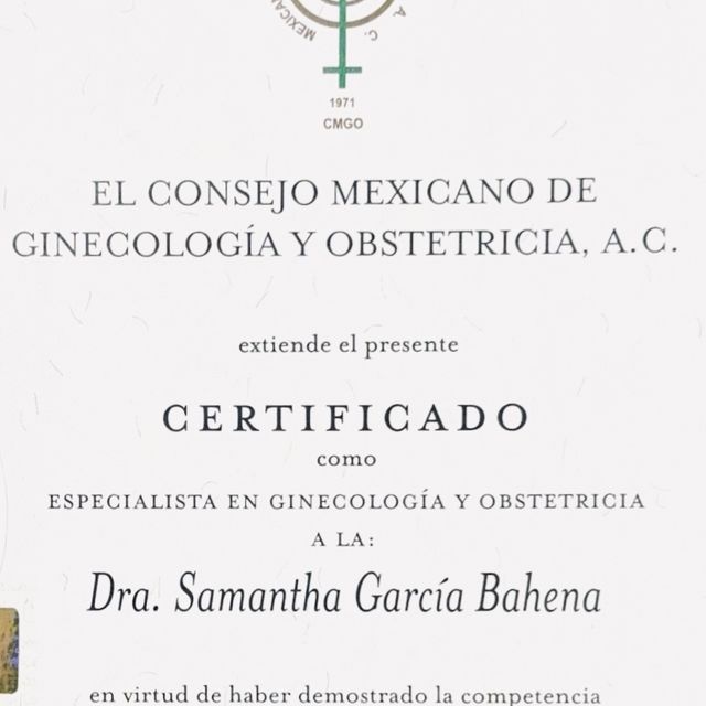 Ampliar imagen: certificate 1
