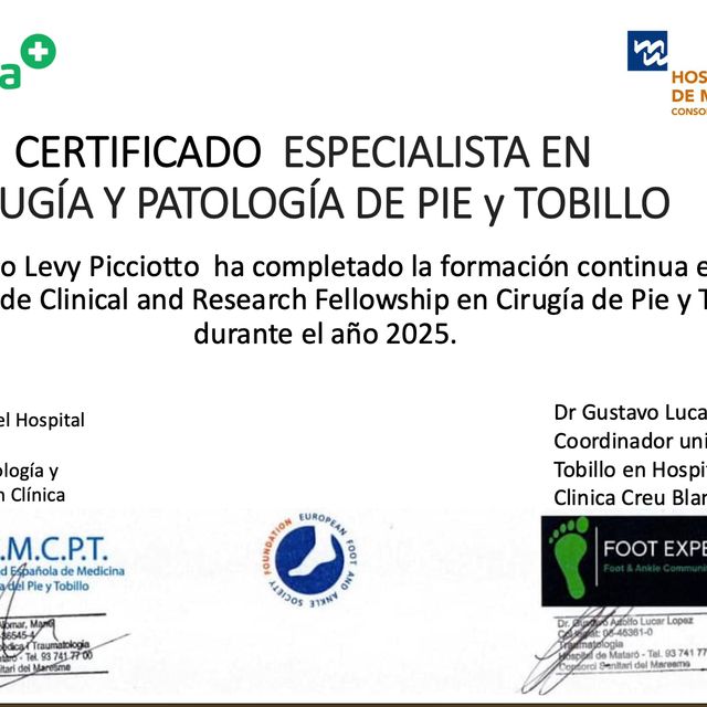 Ampliar imagen: certificate 5