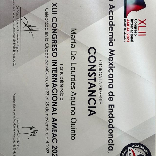 Ampliar imagen: certificate 4