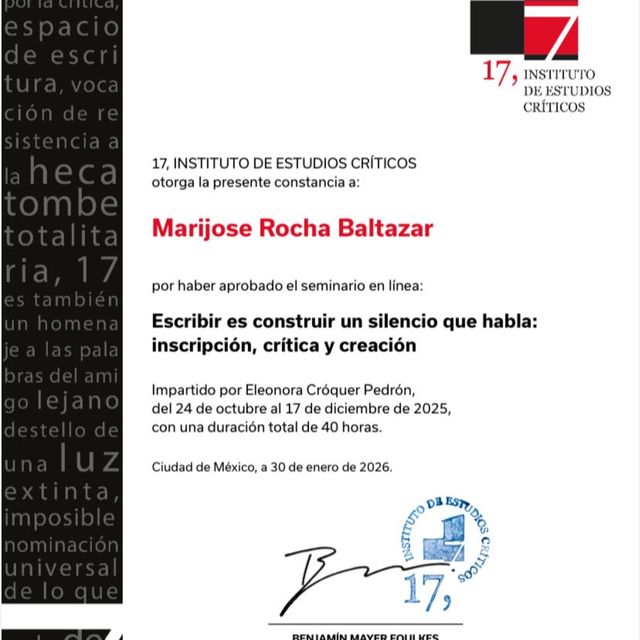 Ampliar imagen: certificate 2