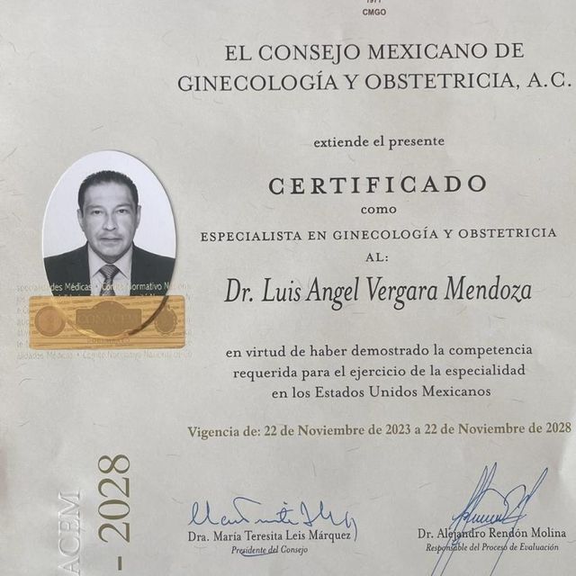 Ampliar imagen: certificate 1