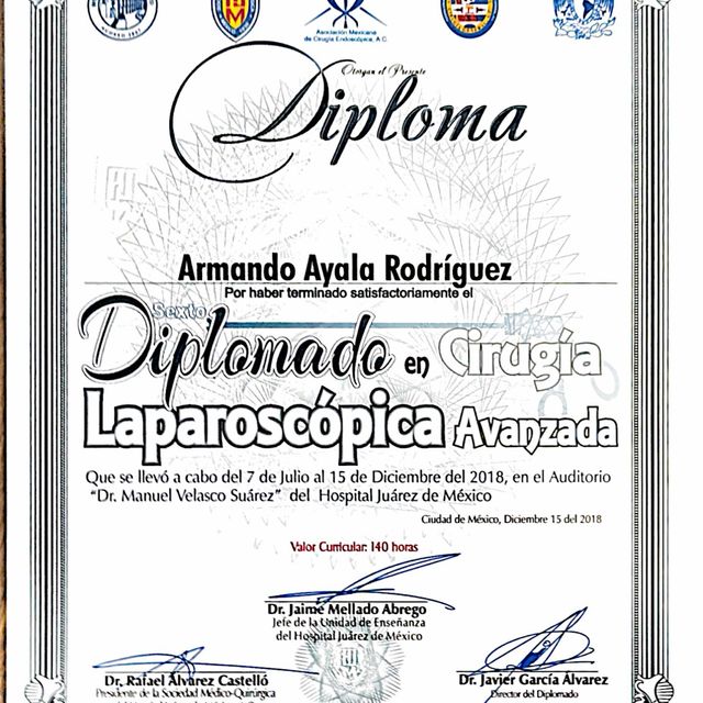 Ampliar imagen: certificate 5