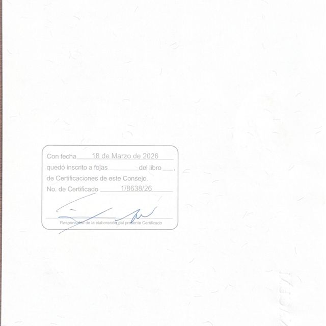 Ampliar imagen: certificate 2