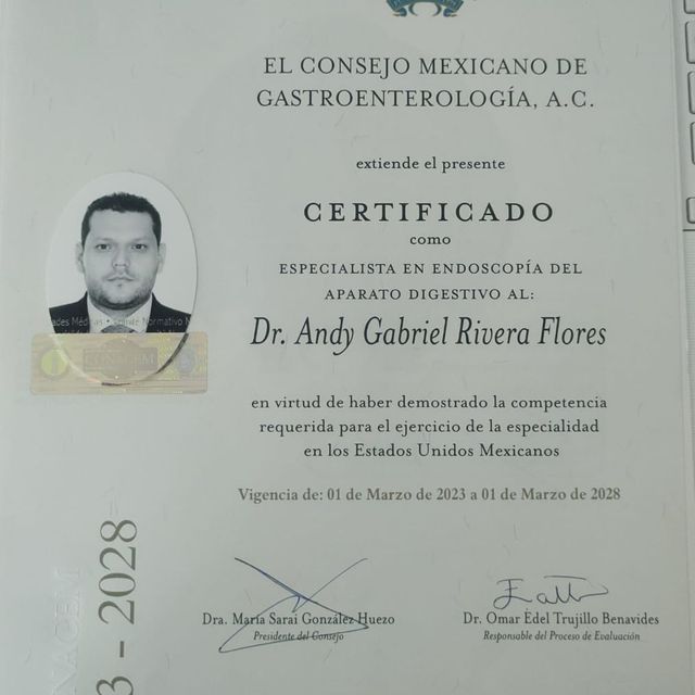 Ampliar imagen: certificate 3