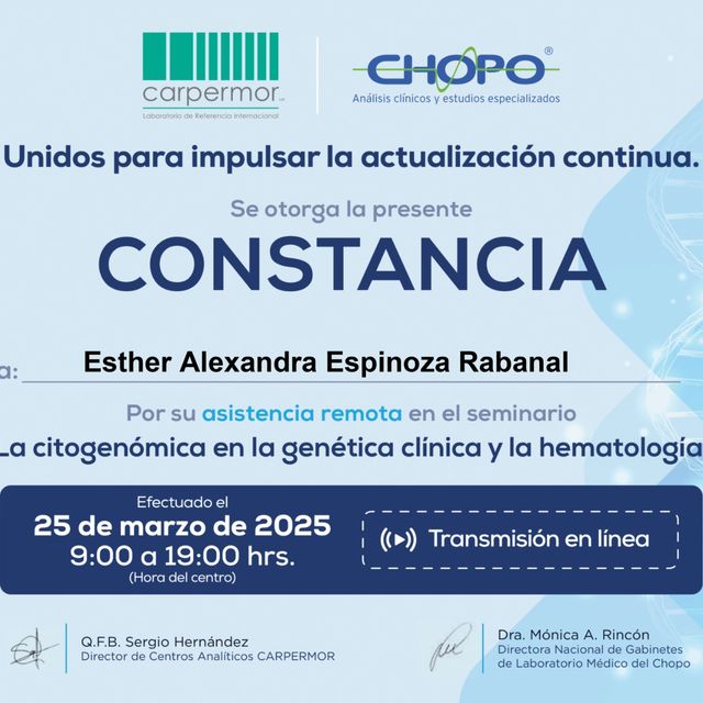 Ampliar imagen: certificate 2