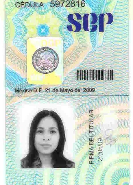 Ampliar imagen: certificate 5