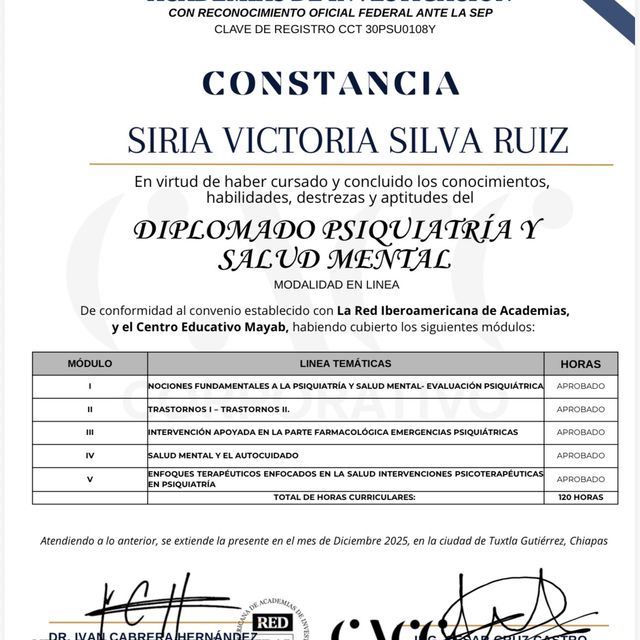 Ampliar imagen: certificate 13