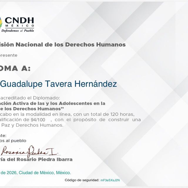 Ampliar imagen: certificate 89