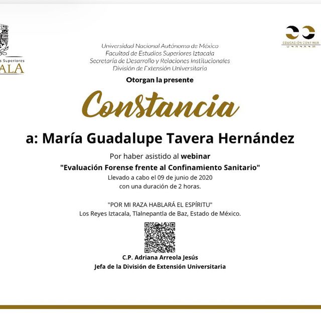 Ampliar imagen: certificate 44