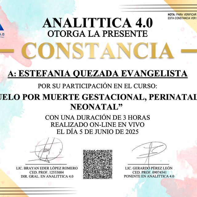Ampliar imagen: certificate 7