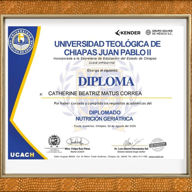 Ampliar imagen: certificate 5