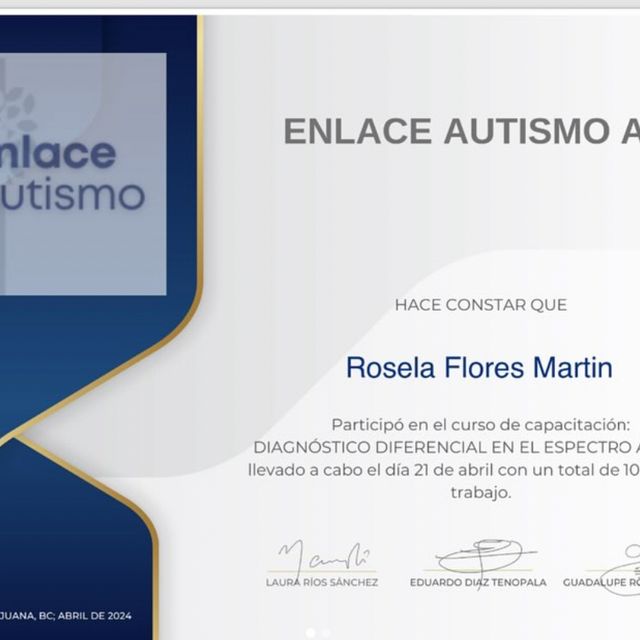 Ampliar imagen: certificate 2