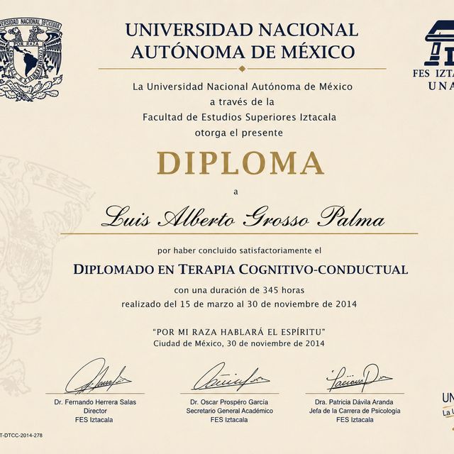 Ampliar imagen: certificate 3