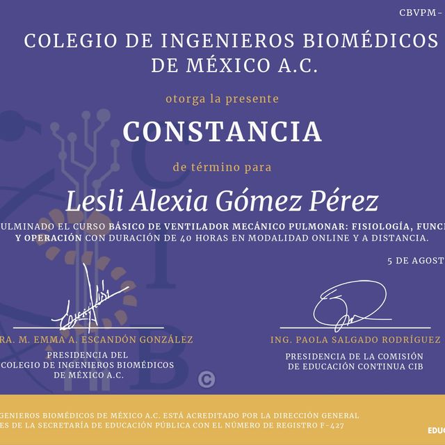 Ampliar imagen: certificate 8