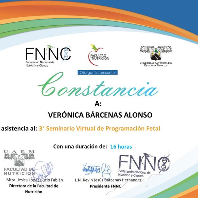 Ampliar imagen: certificate 4