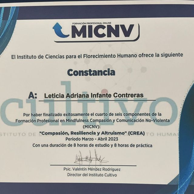 Ampliar imagen: certificate 14