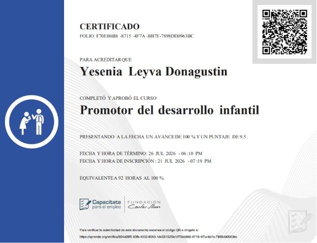 Ampliar imagen: certificate 1