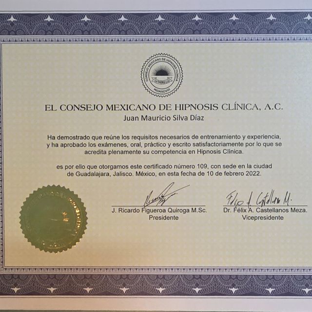 Ampliar imagen: certificate 1