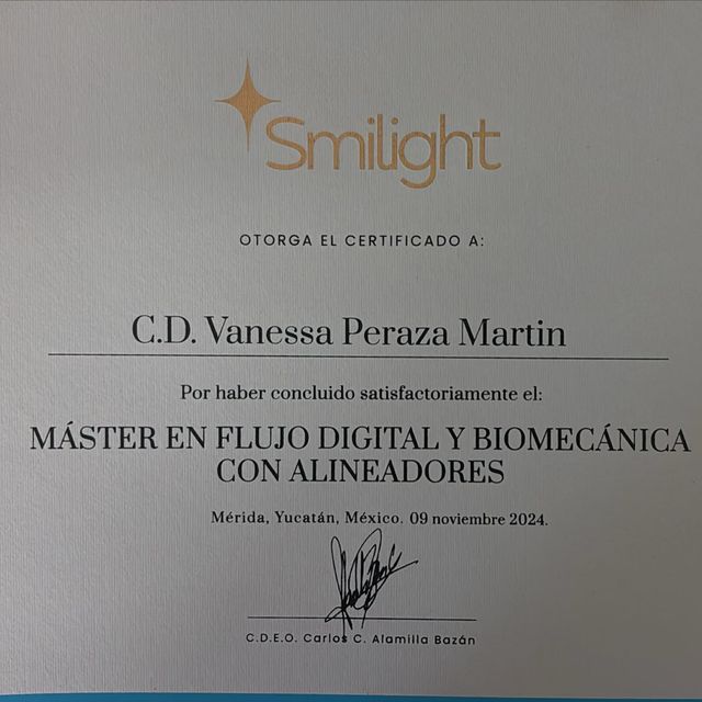 Ampliar imagen: certificate 1