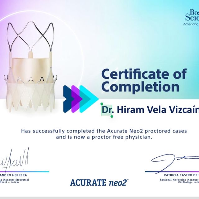 Ampliar imagen: certificate 10