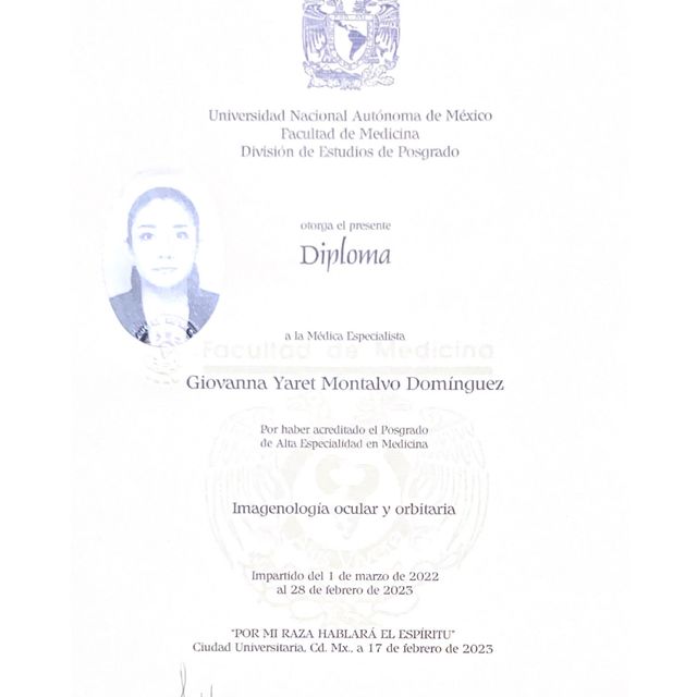 Ampliar imagen: certificate 6