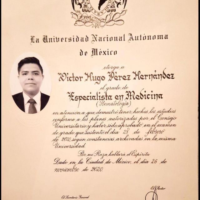 Ampliar imagen: certificate 10