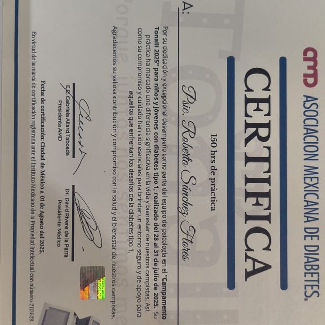 Ampliar imagen: certificate 3