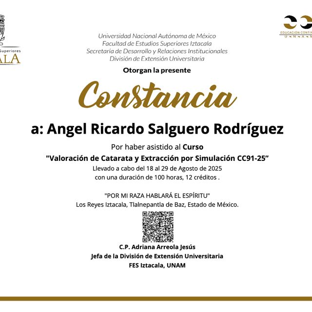 Ampliar imagen: certificate 2