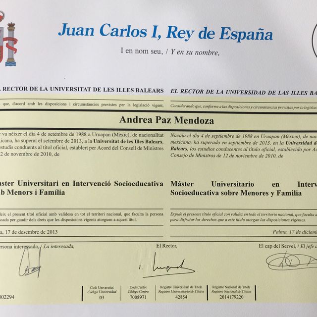 Ampliar imagen: certificate 3