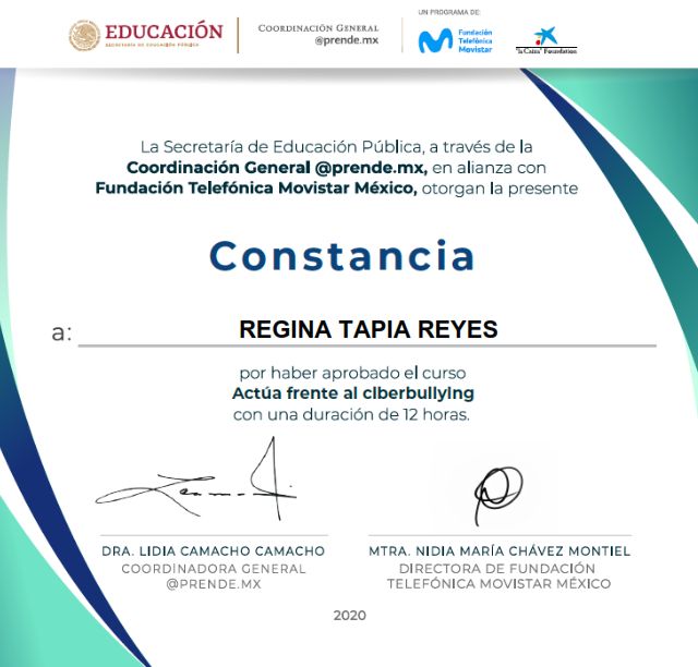Ampliar imagen: certificate 3