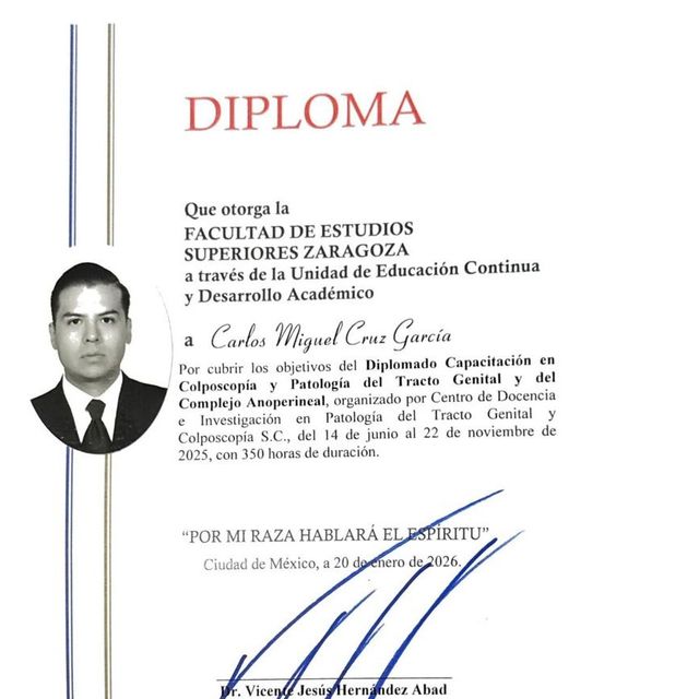 Ampliar imagen: certificate 2